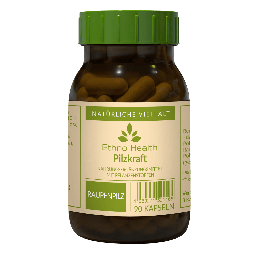 Pilzkraft